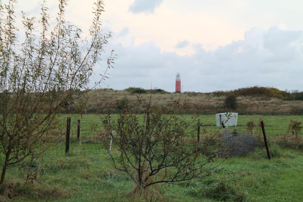 Boerderij De Duinen 111 Leilighet De Cocksdorp  Eksteriør bilde